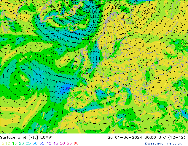 Surface wind ECMWF Sa 01.06.2024 00 UTC