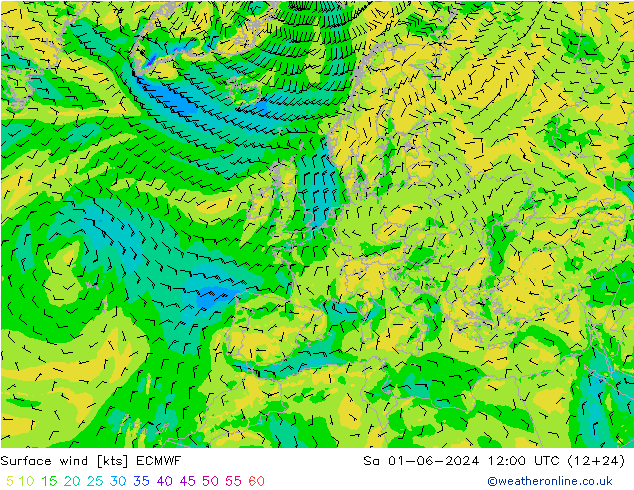 Bodenwind ECMWF Sa 01.06.2024 12 UTC