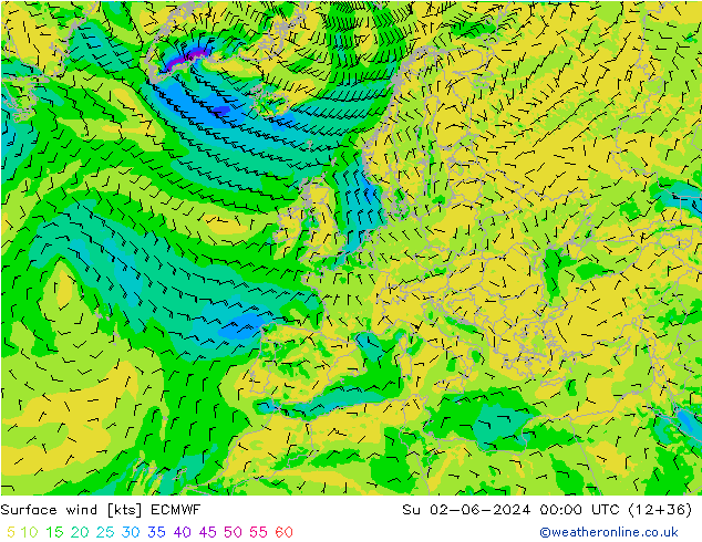 Bodenwind ECMWF So 02.06.2024 00 UTC