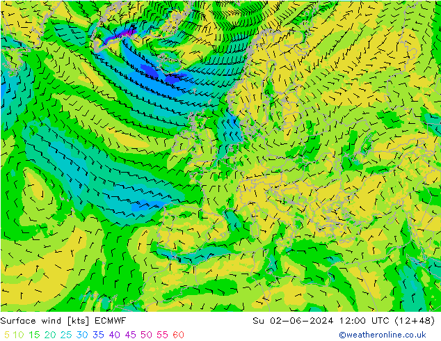  10 m ECMWF  02.06.2024 12 UTC