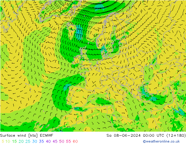 Vento 10 m ECMWF sab 08.06.2024 00 UTC