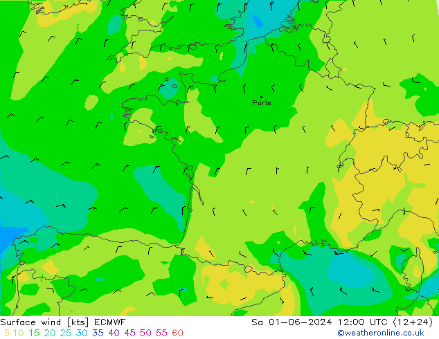 wiatr 10 m ECMWF so. 01.06.2024 12 UTC