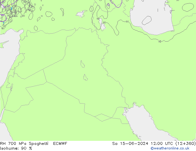 RH 700 гПа Spaghetti ECMWF сб 15.06.2024 12 UTC