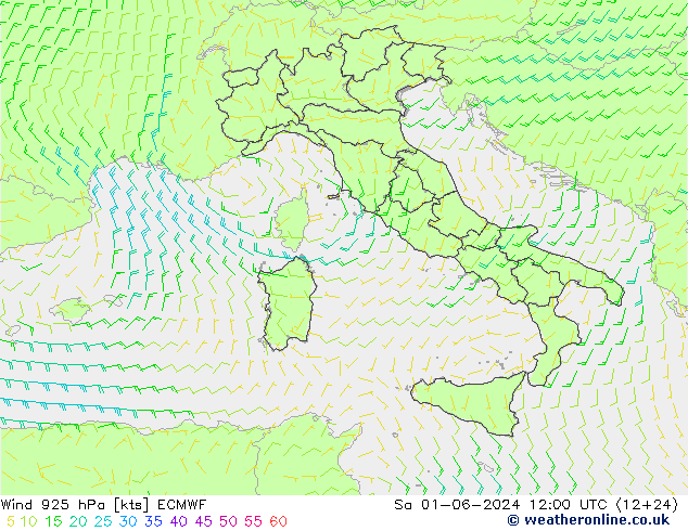 Wind 925 hPa ECMWF za 01.06.2024 12 UTC