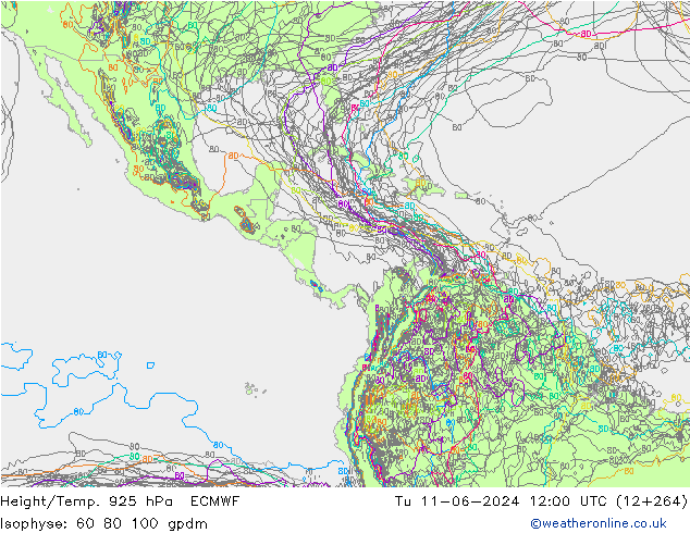 Hoogte/Temp. 925 hPa ECMWF di 11.06.2024 12 UTC