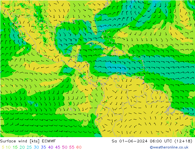 Surface wind ECMWF Sa 01.06.2024 06 UTC