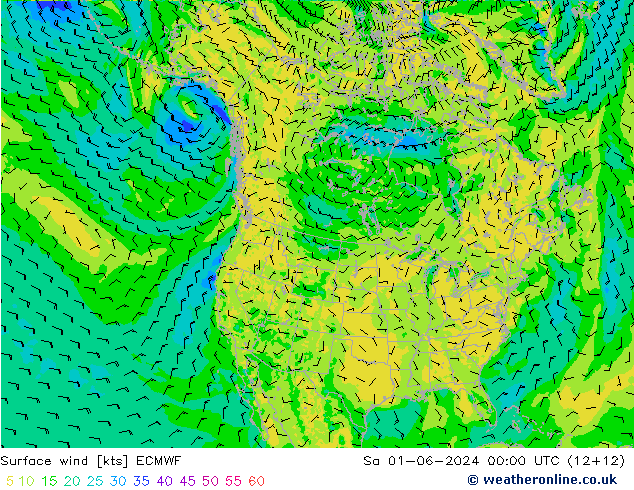 Vento 10 m ECMWF Sáb 01.06.2024 00 UTC