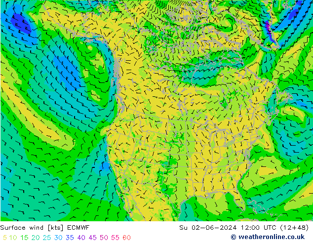 Bodenwind ECMWF So 02.06.2024 12 UTC