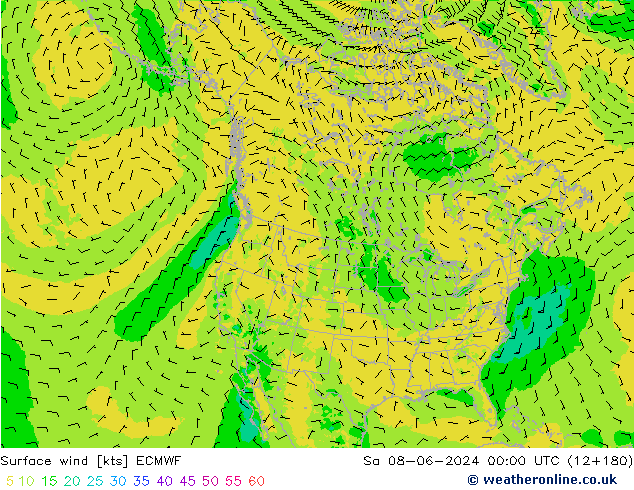 Surface wind ECMWF Sa 08.06.2024 00 UTC
