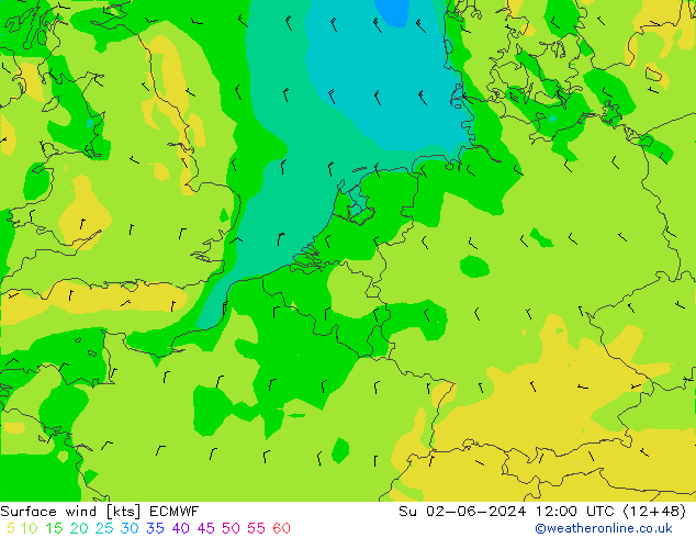 Rüzgar 10 m ECMWF Paz 02.06.2024 12 UTC