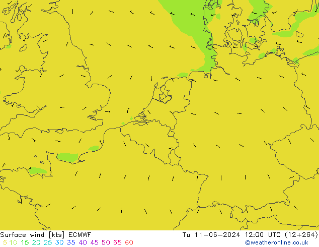 Vent 10 m ECMWF mar 11.06.2024 12 UTC