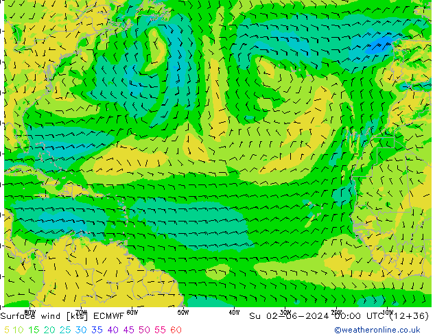 Surface wind ECMWF Su 02.06.2024 00 UTC