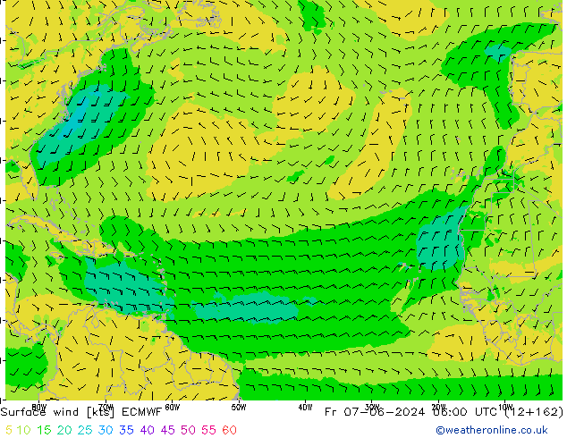 Surface wind ECMWF Fr 07.06.2024 06 UTC