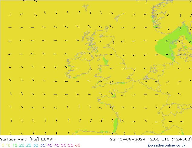 Bodenwind ECMWF Sa 15.06.2024 12 UTC