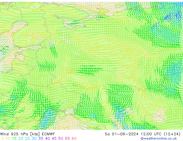Wind 925 hPa ECMWF Sa 01.06.2024 12 UTC