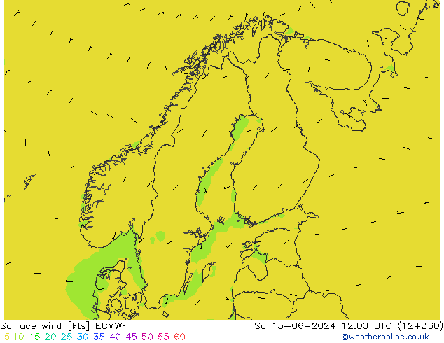 Bodenwind ECMWF Sa 15.06.2024 12 UTC