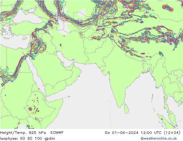 Géop./Temp. 925 hPa ECMWF sam 01.06.2024 12 UTC