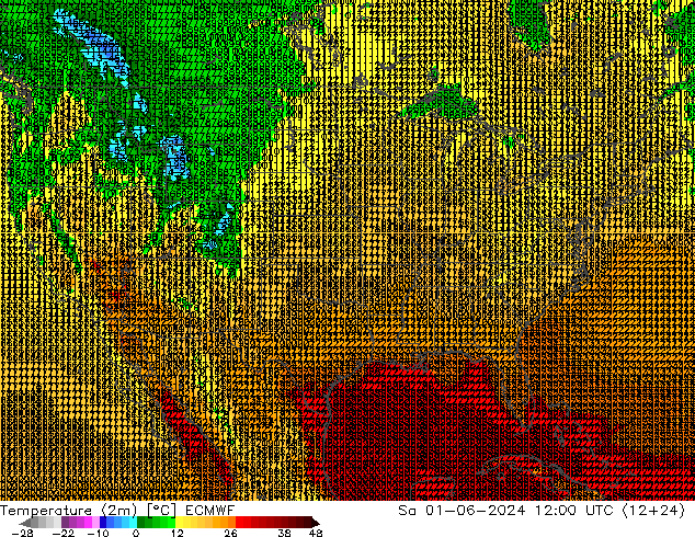 Temperature (2m) ECMWF So 01.06.2024 12 UTC
