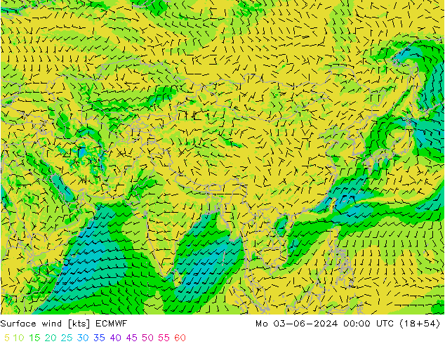 Wind 10 m ECMWF ma 03.06.2024 00 UTC