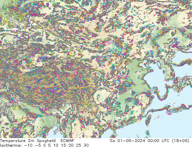 温度图 Spaghetti ECMWF 星期六 01.06.2024 00 UTC