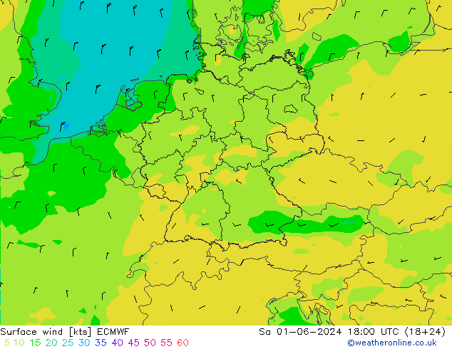 Bodenwind ECMWF Sa 01.06.2024 18 UTC