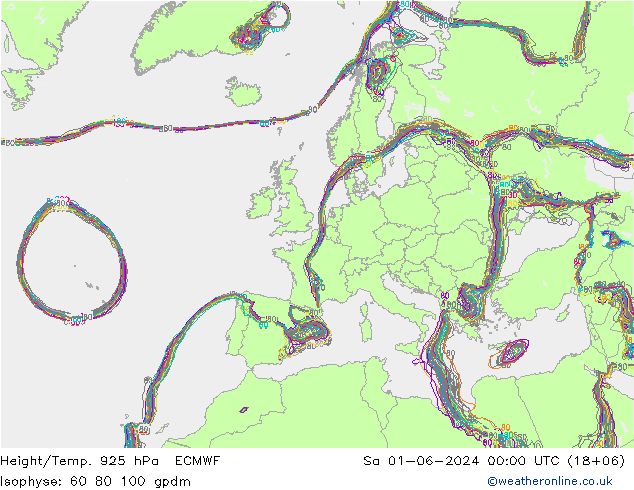 Height/Temp. 925 гПа ECMWF сб 01.06.2024 00 UTC