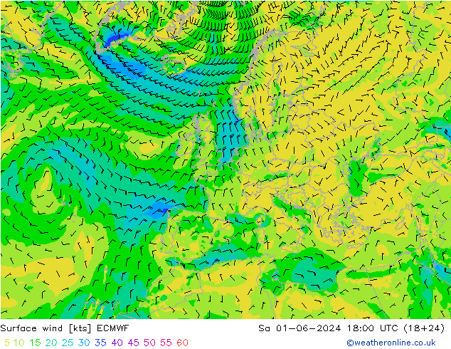 Surface wind ECMWF Sa 01.06.2024 18 UTC