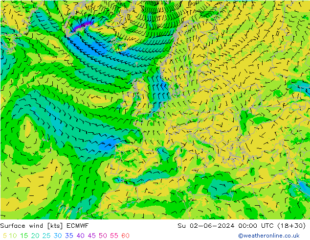 Vento 10 m ECMWF Dom 02.06.2024 00 UTC