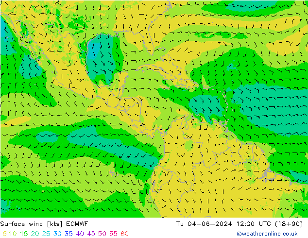 Surface wind ECMWF Tu 04.06.2024 12 UTC