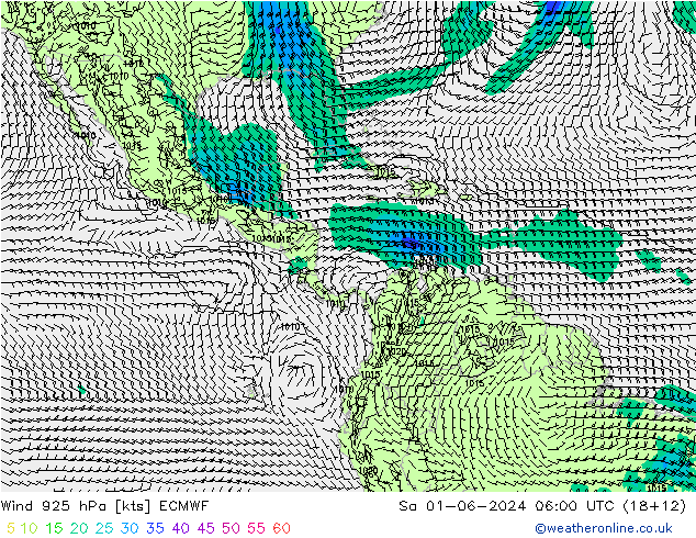 Wind 925 hPa ECMWF za 01.06.2024 06 UTC