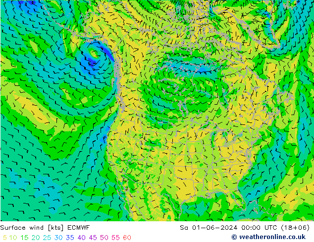 Surface wind ECMWF Sa 01.06.2024 00 UTC