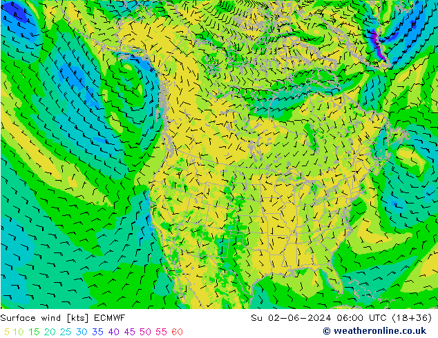 Rüzgar 10 m ECMWF Paz 02.06.2024 06 UTC