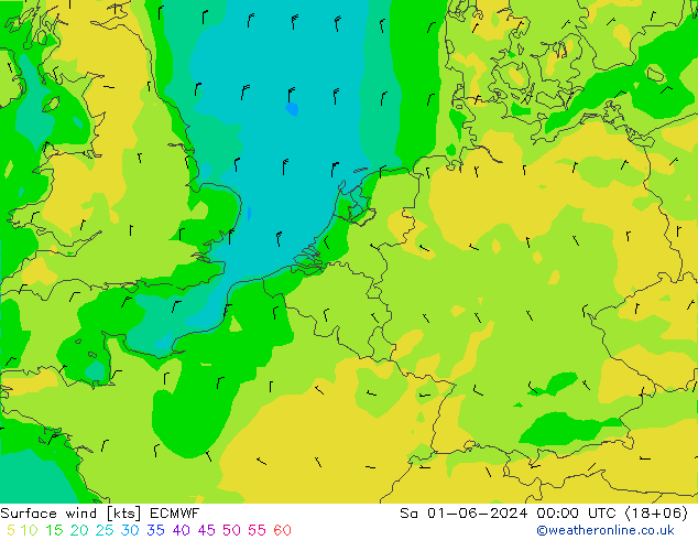 Bodenwind ECMWF Sa 01.06.2024 00 UTC