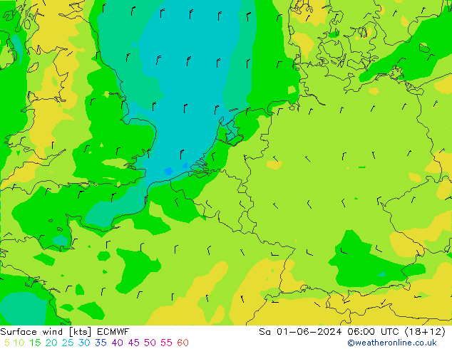 Wind 10 m ECMWF za 01.06.2024 06 UTC