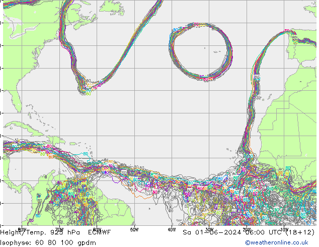 Height/Temp. 925 hPa ECMWF Sa 01.06.2024 06 UTC