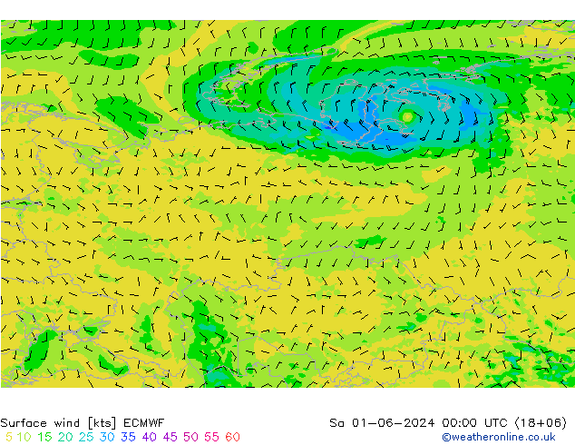 Surface wind ECMWF Sa 01.06.2024 00 UTC