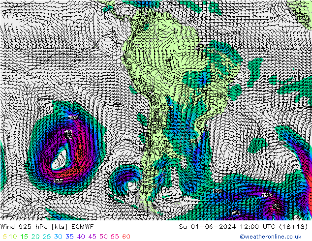 Rüzgar 925 hPa ECMWF Cts 01.06.2024 12 UTC