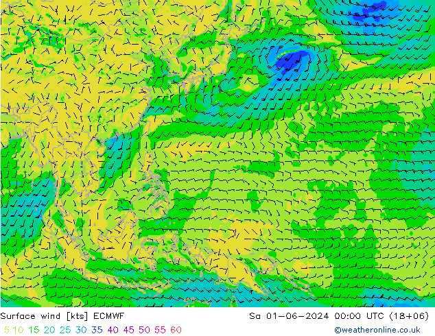Surface wind ECMWF So 01.06.2024 00 UTC