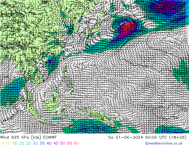 ветер 925 гПа ECMWF сб 01.06.2024 00 UTC