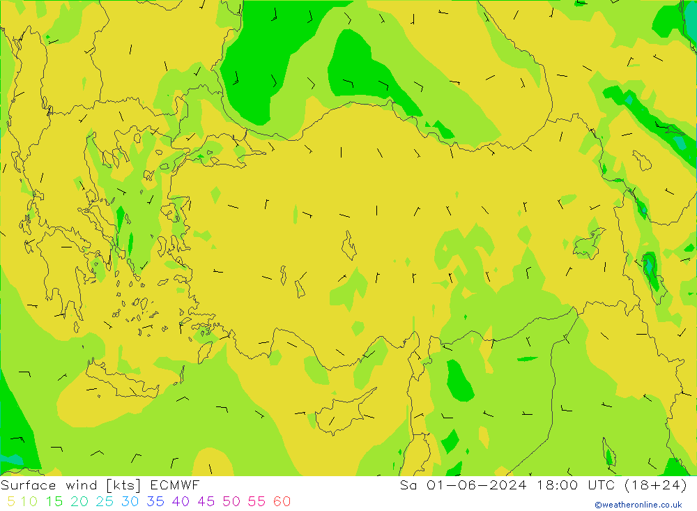 Surface wind ECMWF Sa 01.06.2024 18 UTC