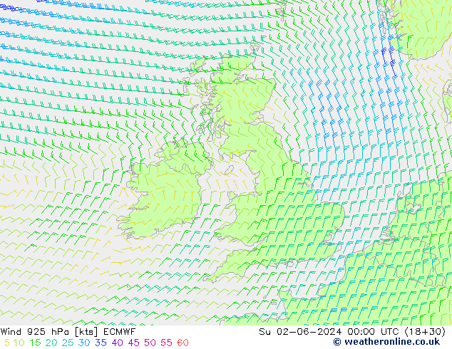 Rüzgar 925 hPa ECMWF Paz 02.06.2024 00 UTC