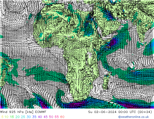 Vento 925 hPa ECMWF dom 02.06.2024 00 UTC