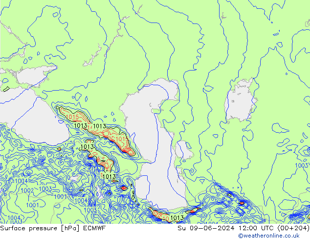 Luchtdruk (Grond) ECMWF zo 09.06.2024 12 UTC