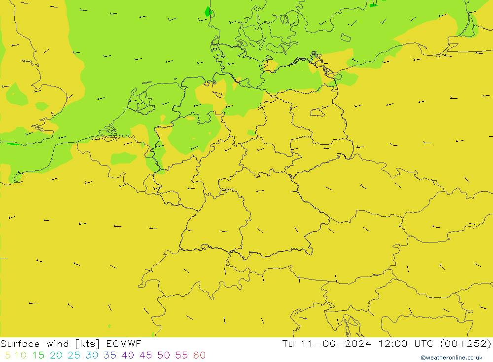  10 m ECMWF  11.06.2024 12 UTC