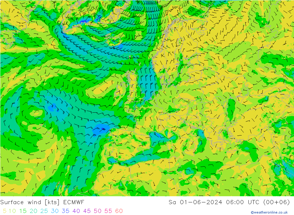 Surface wind ECMWF Sa 01.06.2024 06 UTC