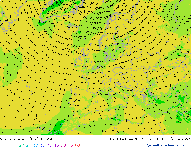 wiatr 10 m ECMWF wto. 11.06.2024 12 UTC