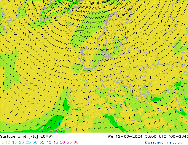 Vent 10 m ECMWF mer 12.06.2024 00 UTC