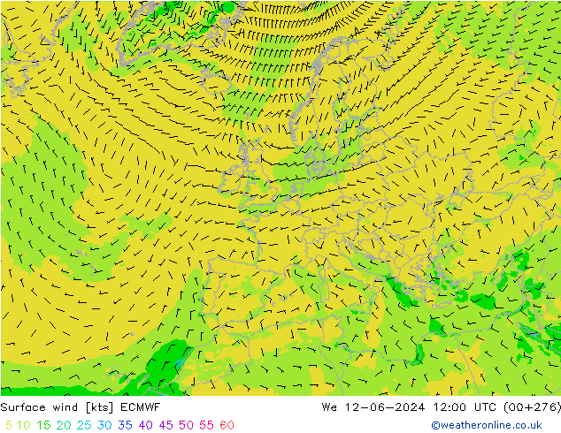 Wind 10 m ECMWF wo 12.06.2024 12 UTC