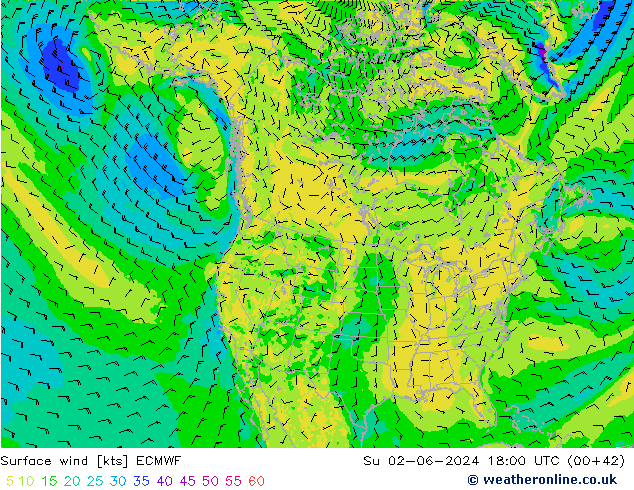 Surface wind ECMWF Ne 02.06.2024 18 UTC