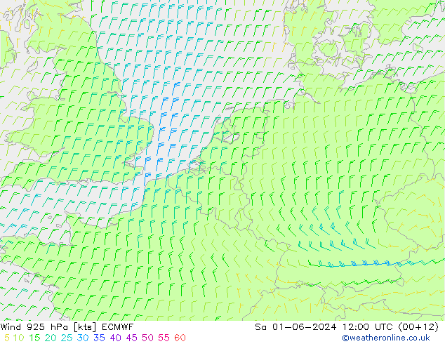 Wind 925 hPa ECMWF Sa 01.06.2024 12 UTC